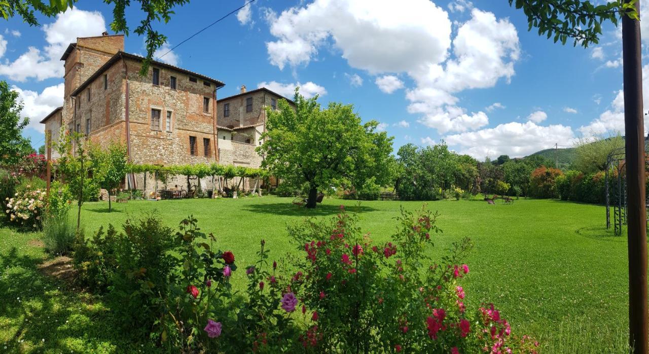 Agriturismo Abbazia Sette Frati A Casa Di Sara Pietrafitta  Екстериор снимка
